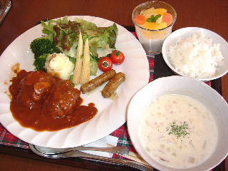 2007_0203nishikou-l.JPG